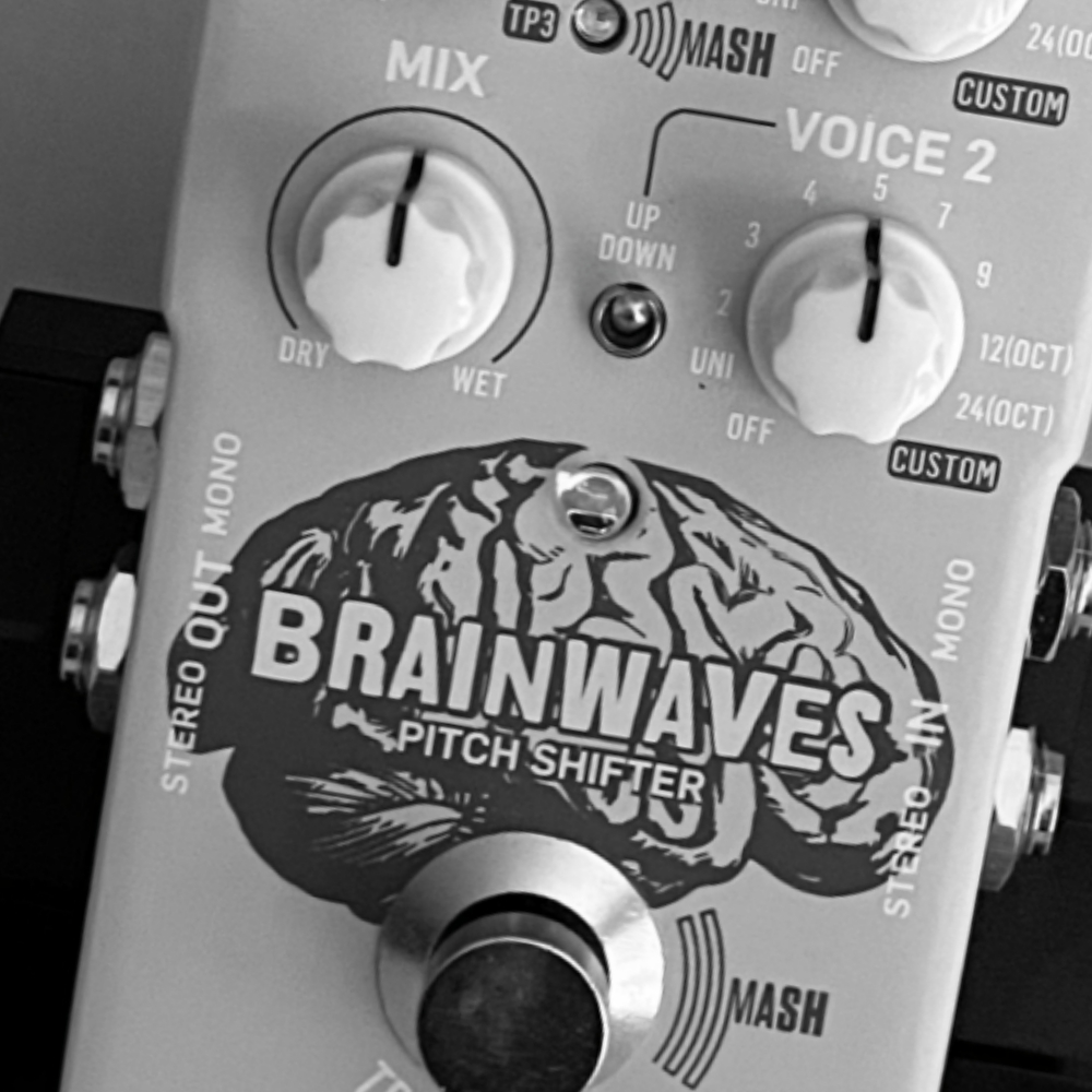 TC Electronic Brainwaves Pitch Shifter