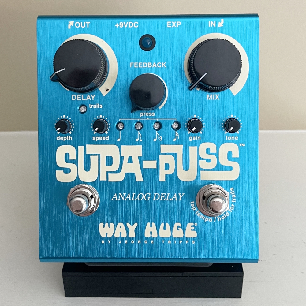 Way Huge Supa Puss Analog Delay