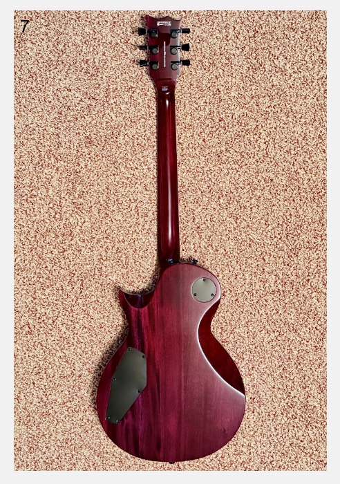 ESP LTD EC-1000FM