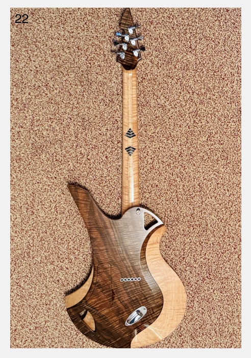 Bezard Scarab Custom