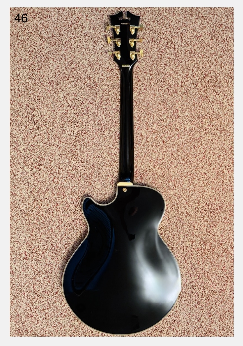 D'Angelico Excel SS