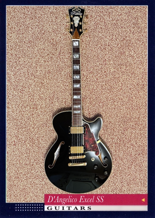 D'Angelico Excel SS
