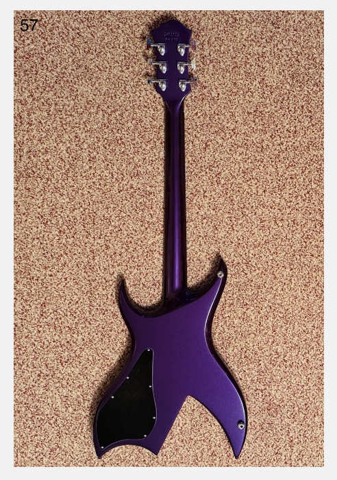 B.C. Rich Rich Bich