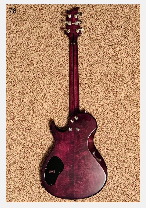 Vigier GV