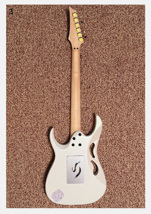 Ibanez PIA3761 Steve Vai Signature