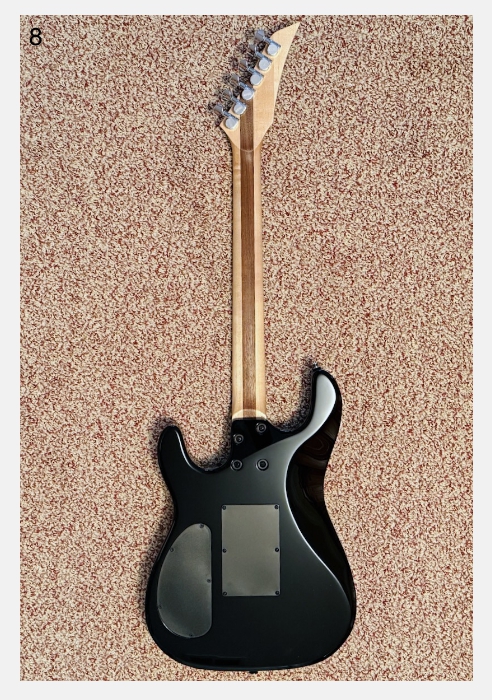 Kiesel Jason Becker Yin Yang