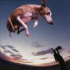 Paul Gilbert "Flying Dog"