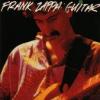 Frank Zappa "Guitar"
