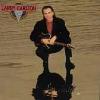 Larry Carlton "On Solid Ground"
