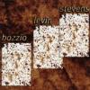 Bozzio/Levin/Stevens "Situation Dangerous"