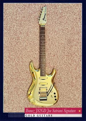Ibanez JS2GD Joe Satriani Signature
