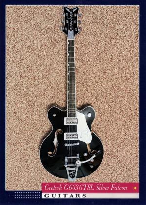 Gretsch G6636TSL Silver Falcon