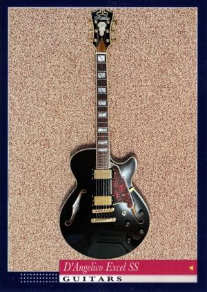 D'Angelico Excel SS
