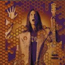 Paul Gilbert "Beehive Live"